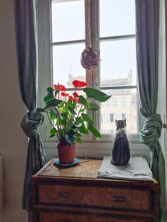 Jolie Chambre Dans Appartement Cosy En Plein Centre 马赛 外观 照片